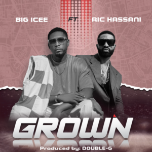 Big Icee ft. Ric Hassani - Grown