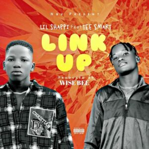 Lil Shappi - Link Up ft. Tee Smart