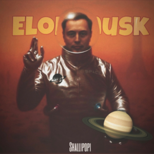 Shallipopi - Elon Musk