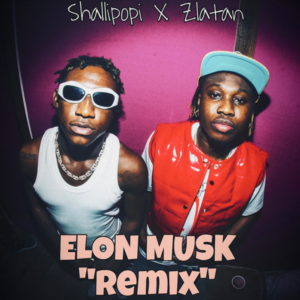 Shallipopi ft. Zlatan - Elon Musk (Remix)