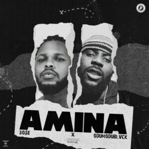 So$e - Amina ft. Odumodublvck