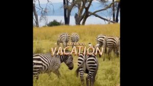 VIDEO: Rayvanny - Vacation