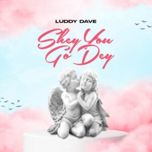 Luddy Dave - Shey You Go Dey