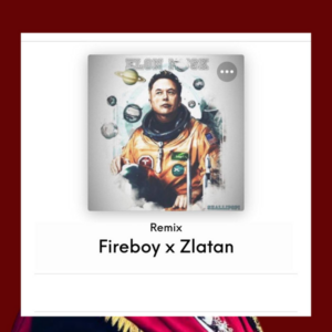 Shallipopi - Elon Musk (Remix) ft. Fireboy DML & Zlatan