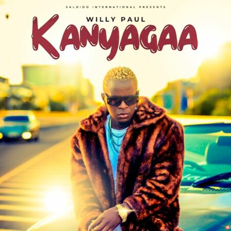 Willy Paul - Kanyagaa