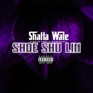 SHATTA WALE - SHOE SHU LIN FL MS