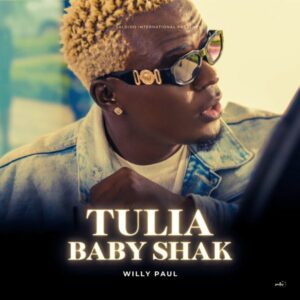 Willy Paul - Tulia Baby Shak