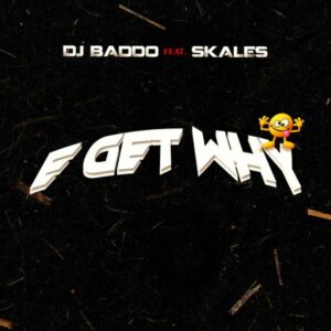 DJ Baddo ft. Skales - E Get Why