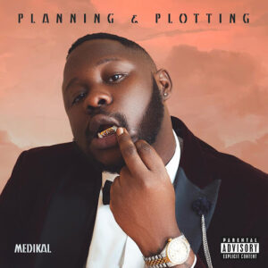 Medikal - Planning & Plotting Album