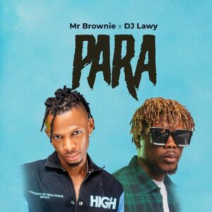 Mr Brownie - Para ft. DJ Lawy