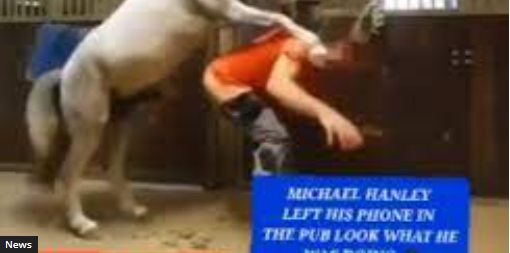 Watch Michael Hanley Horse video | michael hanley horse video