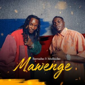 Barnaba - Mawenge ft. Mullaobo