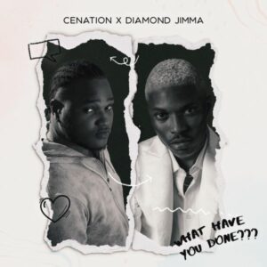 Cenation - What Have You Done (WHYD) ft. Diamond Jimma