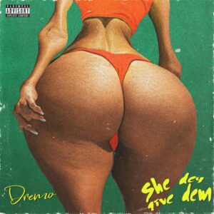 Dremo - She Dey Give Dem
