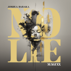 Joshua Baraka - No Lie ft. Magixx