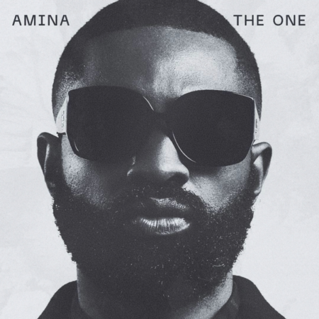 Ric Hassani - Amina