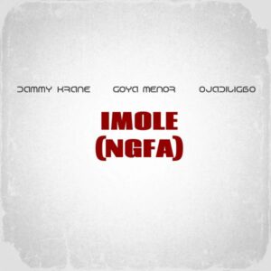 Dammy Krane - Imole (NGFA) ft. Goya Menor & Ojadiligbo