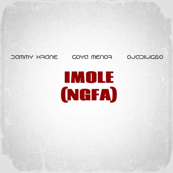Dammy Krane - Imole (NGFA) ft. Goya Menor & Ojadiligbo