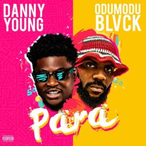 Danny Young - Para ft. Odumodublvck