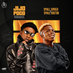 Small Singer - Jijo Poco (Remix) ft. Small Doctor