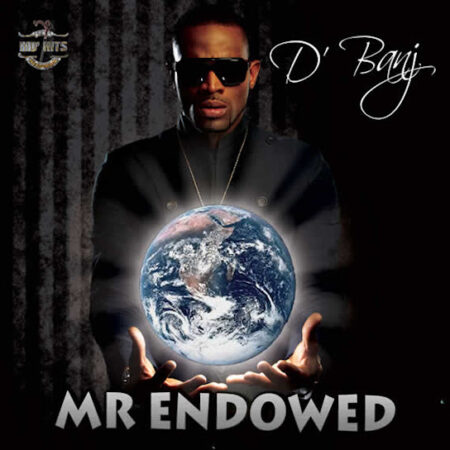 D'Banj - Mr Endowed