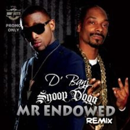 D'Banj - Mr Endowed (Remix) ft. Snoop Dogg