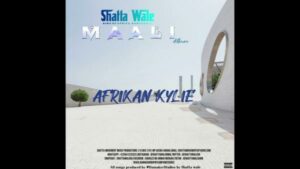 Shatta Wale - African Kylie