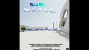 Shatta Wale ft. Vybz Kartel - Mansa Musa Money