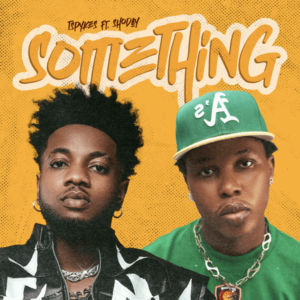 Tspykes - Something Something ft. Shoday