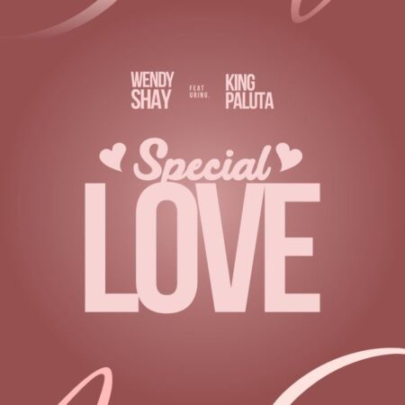 Wendy Shay - Special Love ft. King Paluta