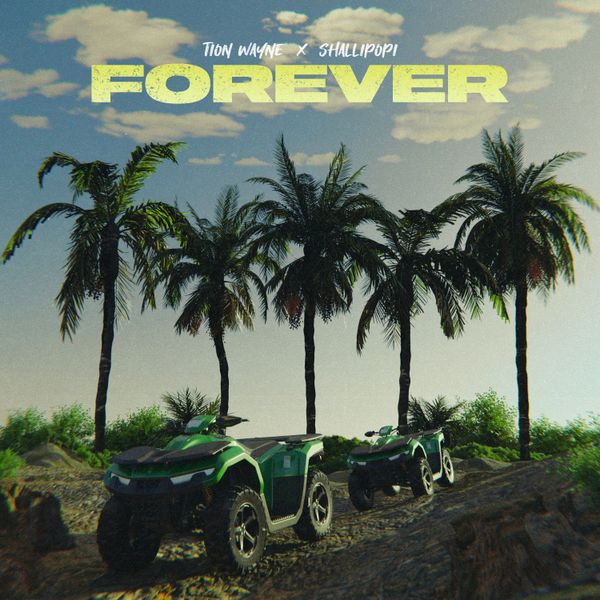 Tion Wayne - Forever ft. Shallipopi