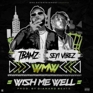 Tbamz - Wish Me Well ft. Seyi Vibez