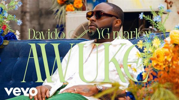 VIDEO: Davido - Awuke ft. YG Marley