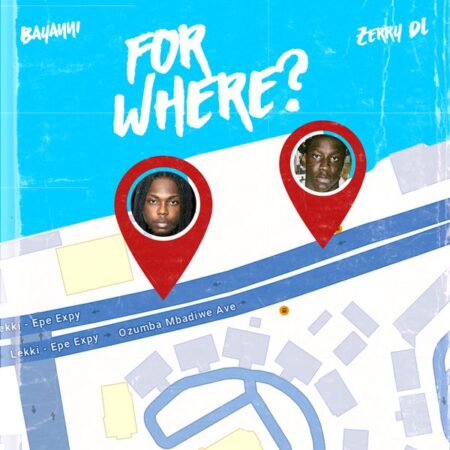 Bayanni ft. Zerrydl - For Where?