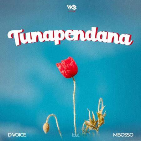 D Voice - Tunapendana ft. Mbosso