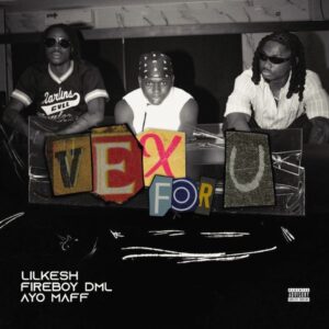 Lil Kesh, Fireboy DML, Ayo Maff - Vex For U