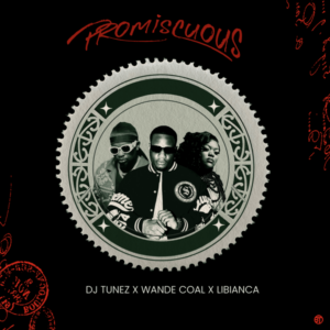 DJ Tunez - Promiscuous ft. Wande Coal & Libianca