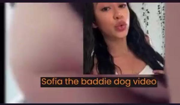 Watch Sofia Da Baddie Dog Full Video Viral on Telegram, Reddit