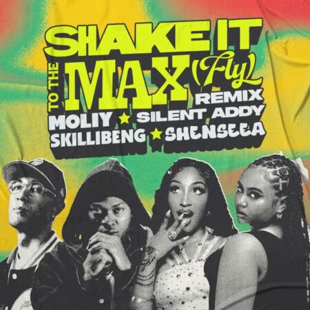 MOLIY - Shake It to The Max (FLY) [Remix] ft. Silent Addy, Skillibeng, Shenseea