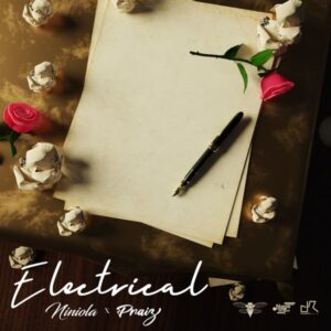 Niniola ft. Praiz - Electrical