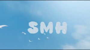 VIDEO: Joeboy & Tempoe - SMH (Visualizer)