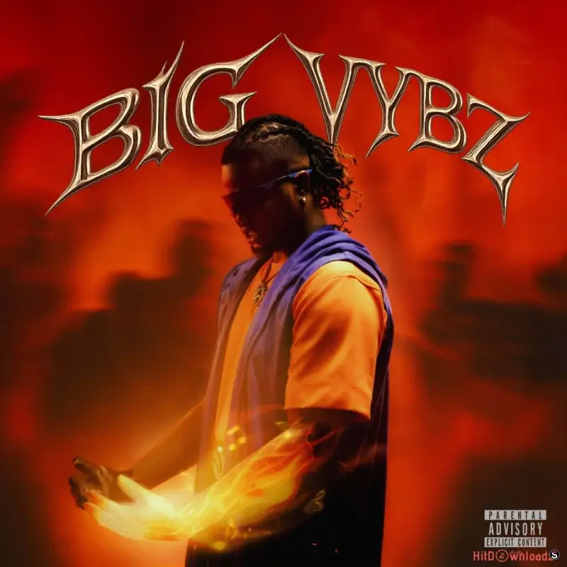 Cover of album 'BIG VYBZ Album' by Rexxie