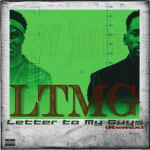 Letter to My Guys LTMG (Remix) Album Cover