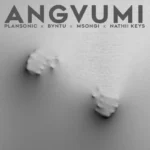 Angvumi Cover