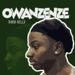 Cover for Owanzenze