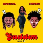 Gaddem Cover
