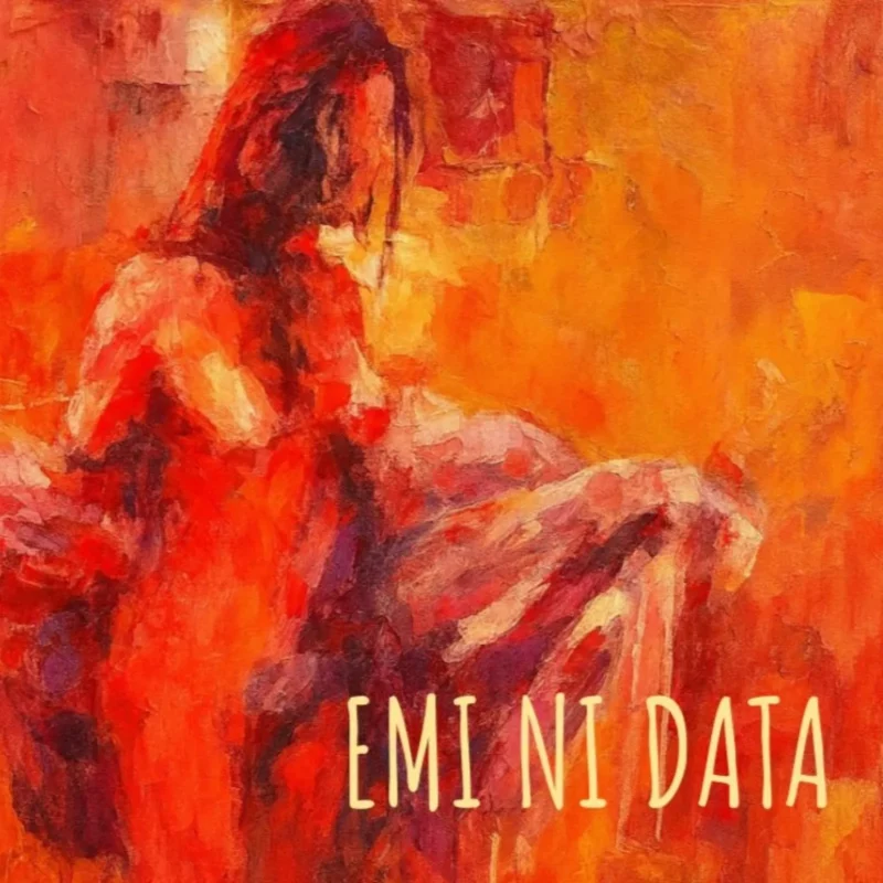 Emi ni Data cover art