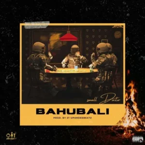 Bahubali Album Cover