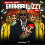 Cover for Shakabulizzy (Remix)